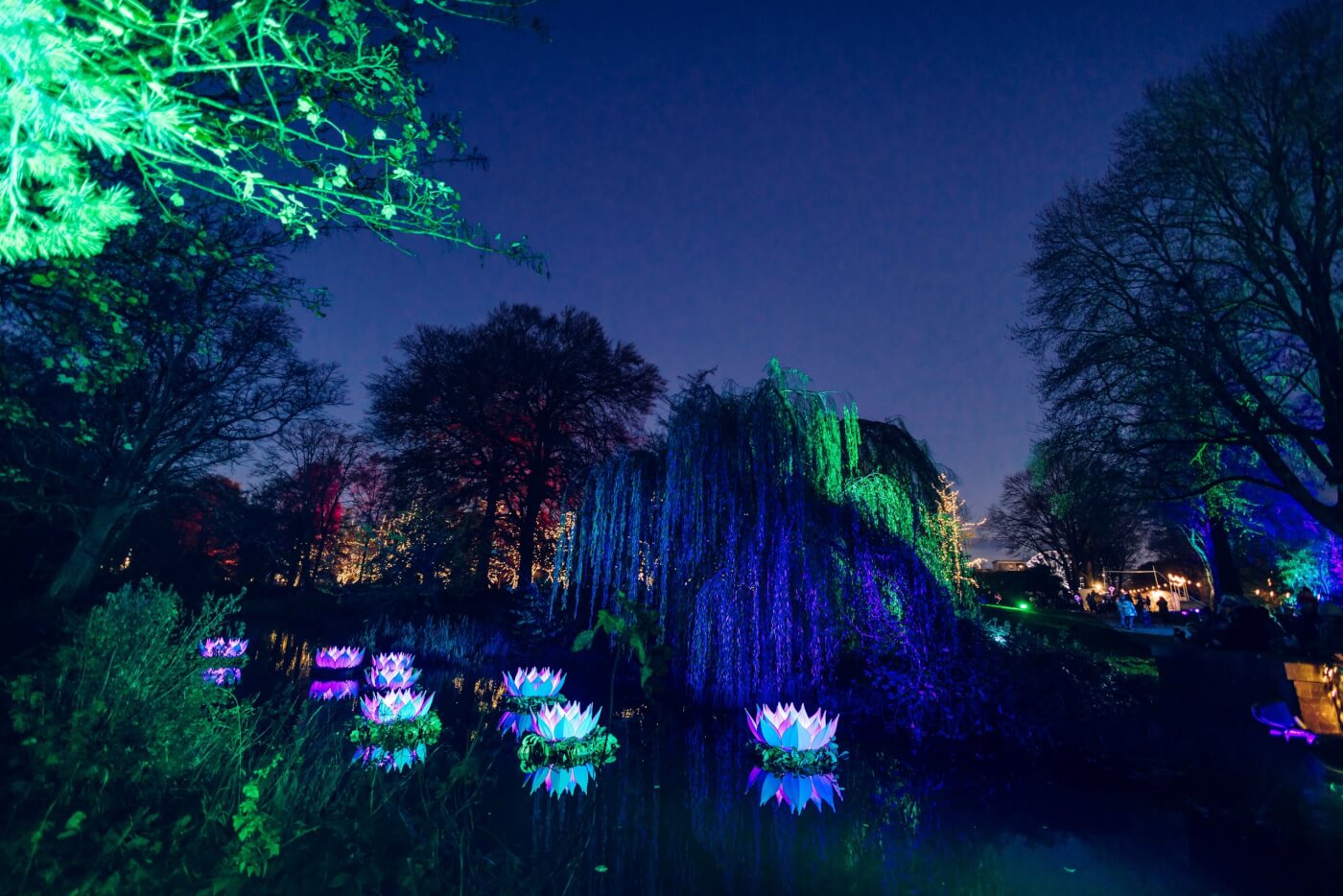 Christmas At Bute Park Bute Park