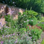 mixed flower border in Bute Park