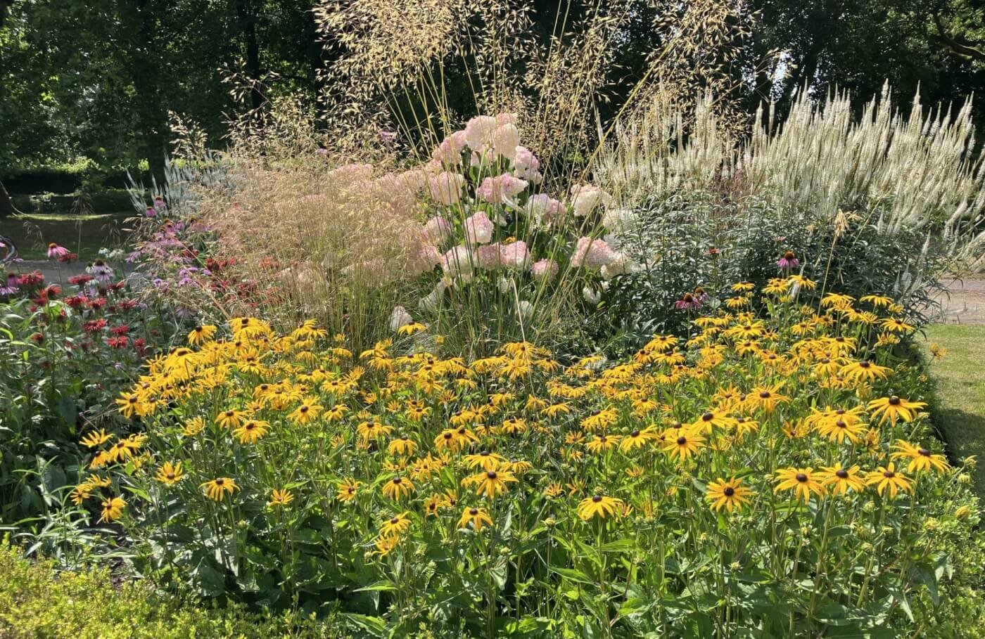 Friary gardens July 2026 Friary gardens in Bute Park in flower