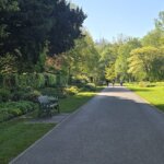 herbaceous border in Bute park on a spring morning