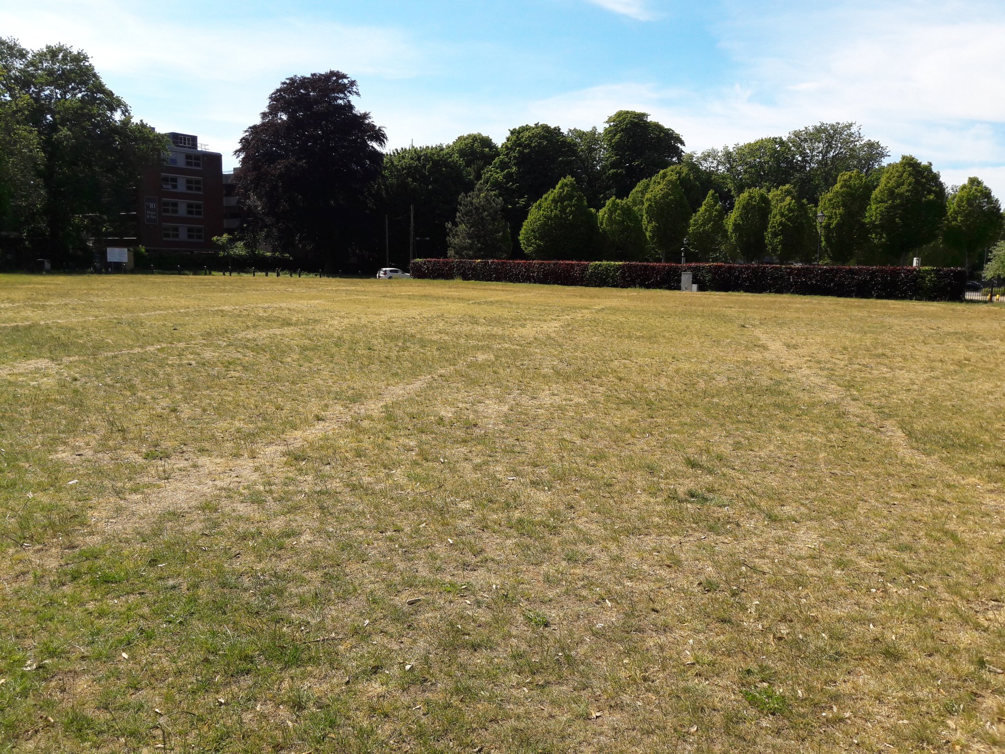 Bute Park - Sophia Gardens