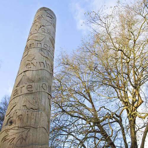 A view of the Tree Charter pole