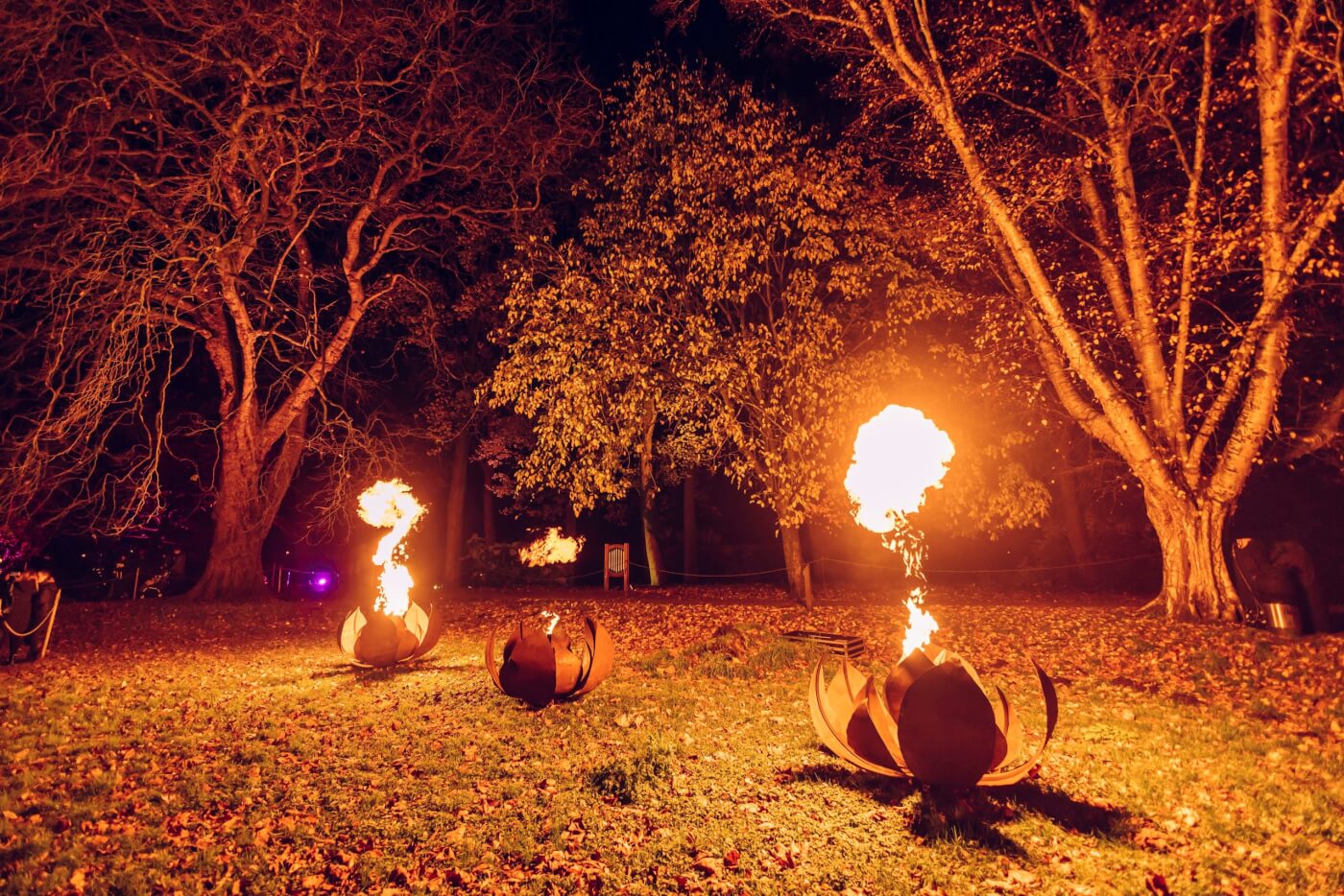 Christmas At Bute Park Bute Park