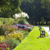 A view of the herbacious border