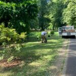 volunteers mulch young trees in Bute Park